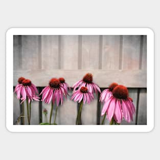 Coneflower Couples Sticker